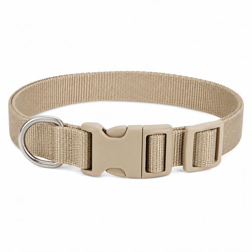 Collier beige réglable pour chien taille M 35-50 cm