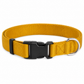 Collier jaune moutarde pour chien taille L 45-65 cm largeur 25 mm